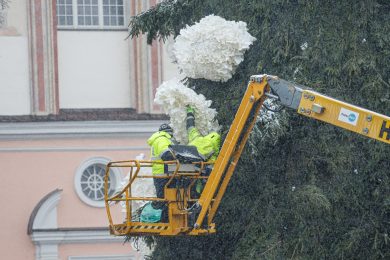 Nupuošiama Kalėdų eglė