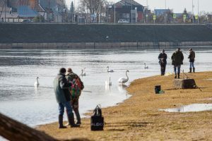 Pavasaris kauniečių veiduose