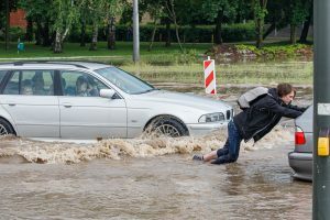 Patvinęs Taikos prospektas