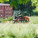 Nepjauta žolė Ąžuolyne