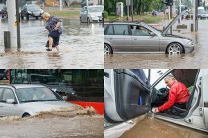 Patvinęs Taikos prospektas