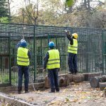 Zoologijos sodo rekonstrukcija