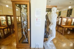 Anatomijos muziejus