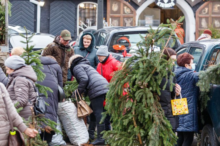 Eglišakių dalybos rotušės aikštėje