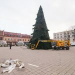 Nupuošiama Kauno Kalėdų eglė