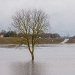 Patvinusios Nemuno ir Neris upės