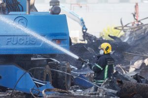 Spaudos konferencija po gaisro Palemone