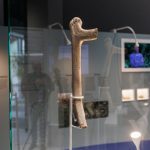 LYNGBY 13000 metų senumo kirvis