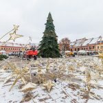 Statoma kalėdinė eglutė Rotušės aikštėje