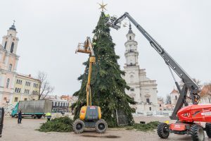 Nupuošiama Kalėdų eglė