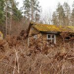 Apleista pionerių stovykla prie Kauno marių