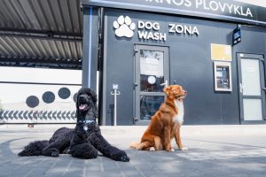 „Dog Wash“ / Švaros broliai nuotr.