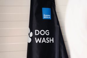 „Dog Wash“ / Švaros broliai nuotr.