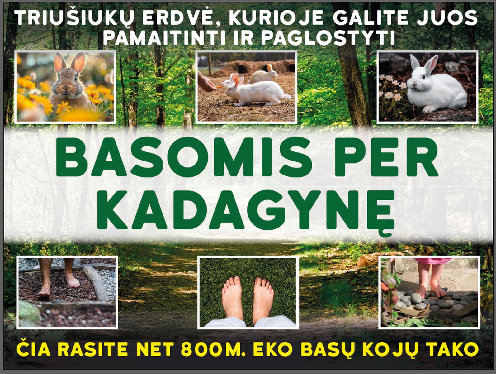 „Basomis per Kadagynę“ / Organizatorių nuotr.