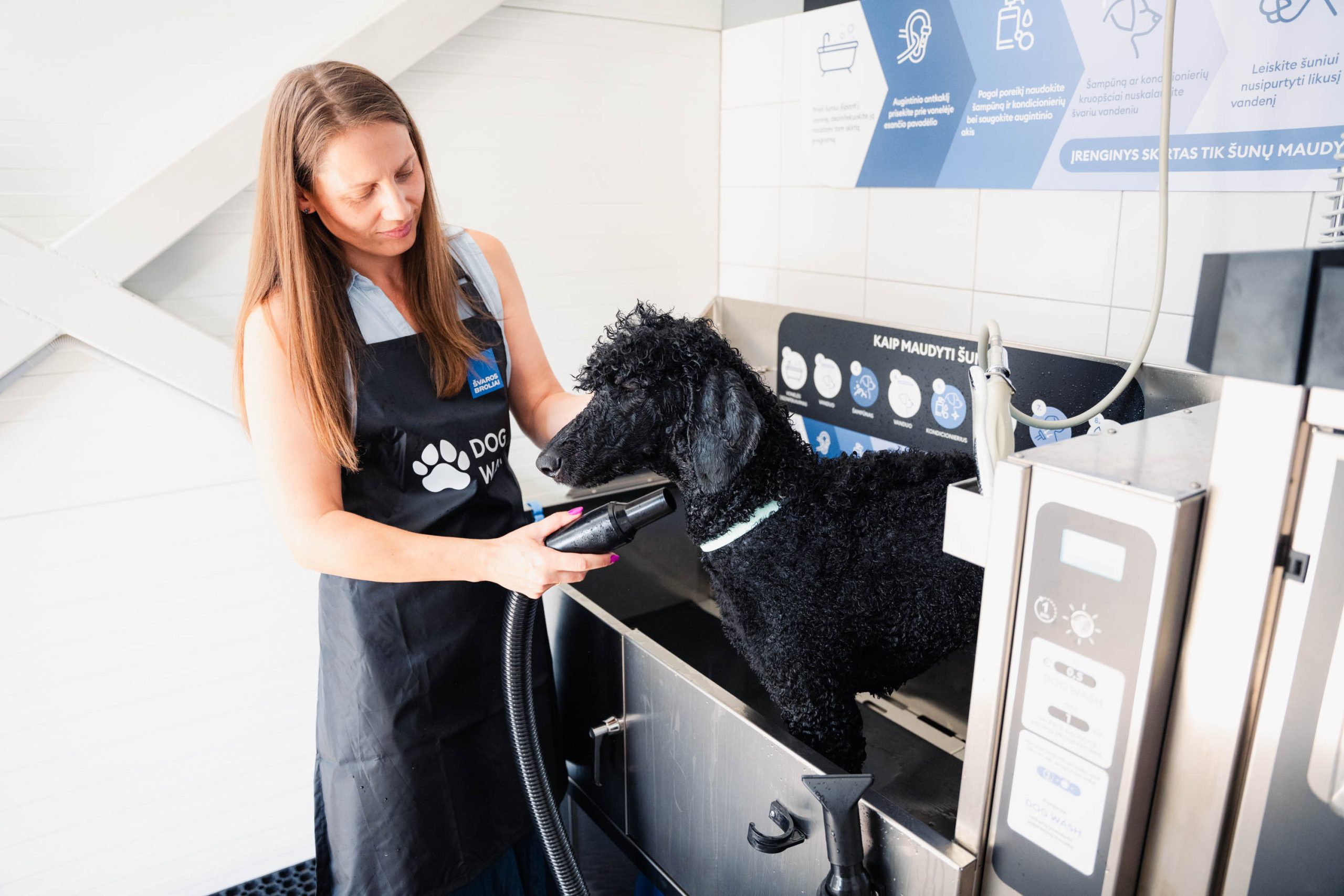 „Dog Wash“ / Švaros broliai nuotr.