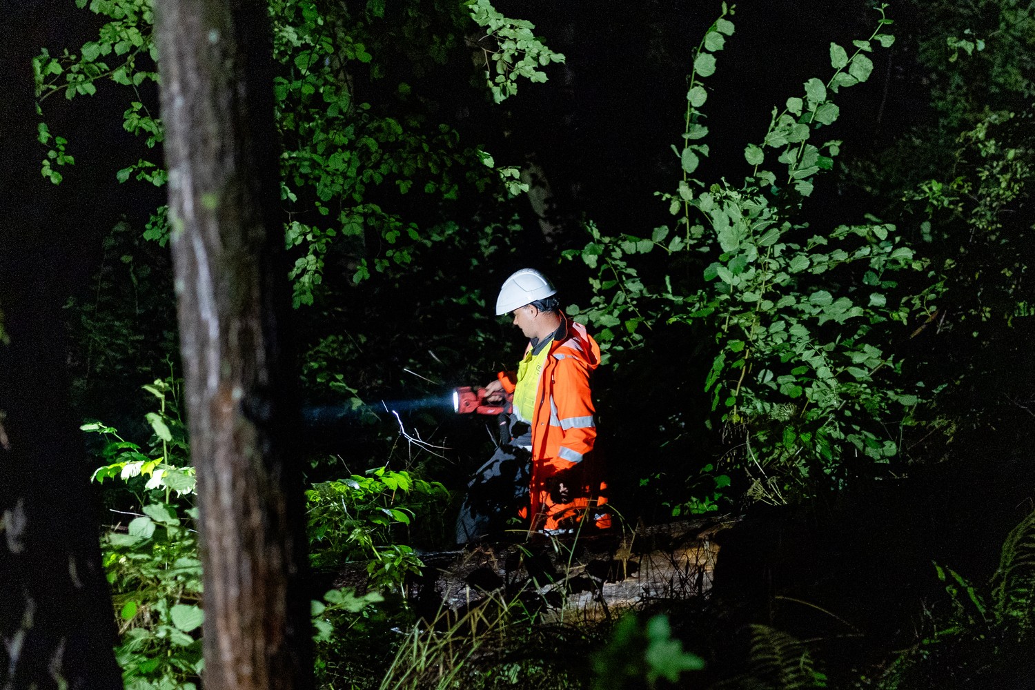 Elektros energijos sutrikimų šalinimas / ESO nuotr.