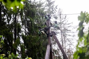 Elektros energijos tinklo sutrikimų šalinimas / ESO nuotr.