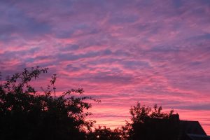 Saulėlydis Kaune sekmadienio vakarą / skaitytojų nuotr.