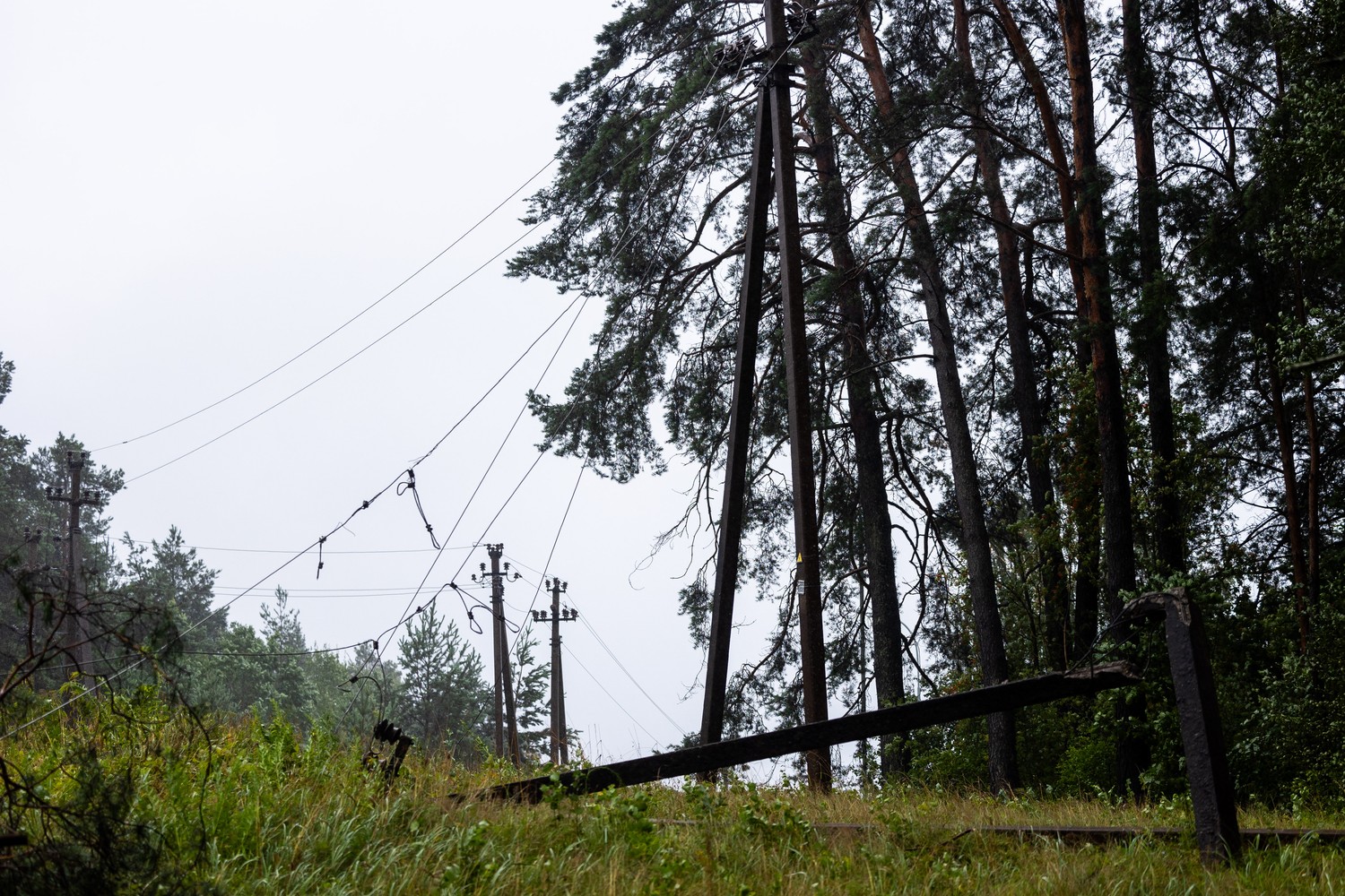 Elektros energijos tinklo sutrikimų šalinimas / ESO nuotr.