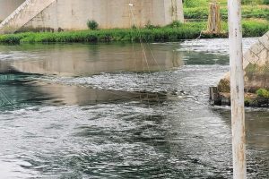 Apgadinti baidarių ir kanojų trasos vartai / Skaitytojo nuotr.