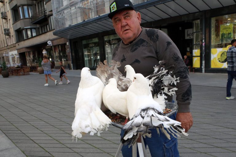 Vyras su balandžiais Kaune / M.Patašiaus nuotr.