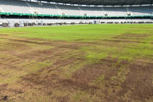 Atidengta gelbėta Kauno stadiono veja / Kas vyksta Kaune nuotr.