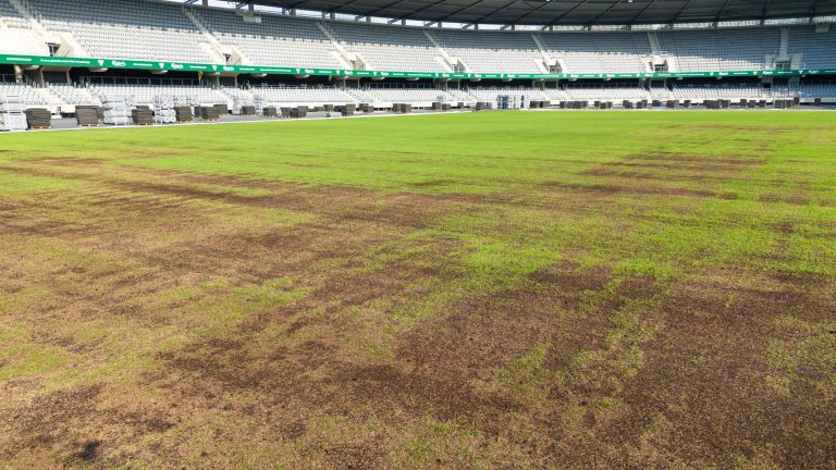 Atidengta gelbėta Kauno stadiono veja / Kas vyksta Kaune nuotr.