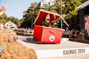 „Red Bull“ muilinių lenktynės / Organizatorių nuotr. 