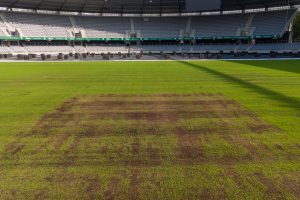 Atidengta gelbėta Kauno stadiono veja / Kas vyksta Kaune nuotr.