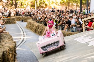 „Red Bull“ muilinių lenktynės / Organizatorių nuotr. 