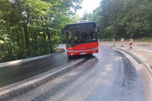 Viešojo transporto vairuotojai šoke / asmen. archyv. nuotr.