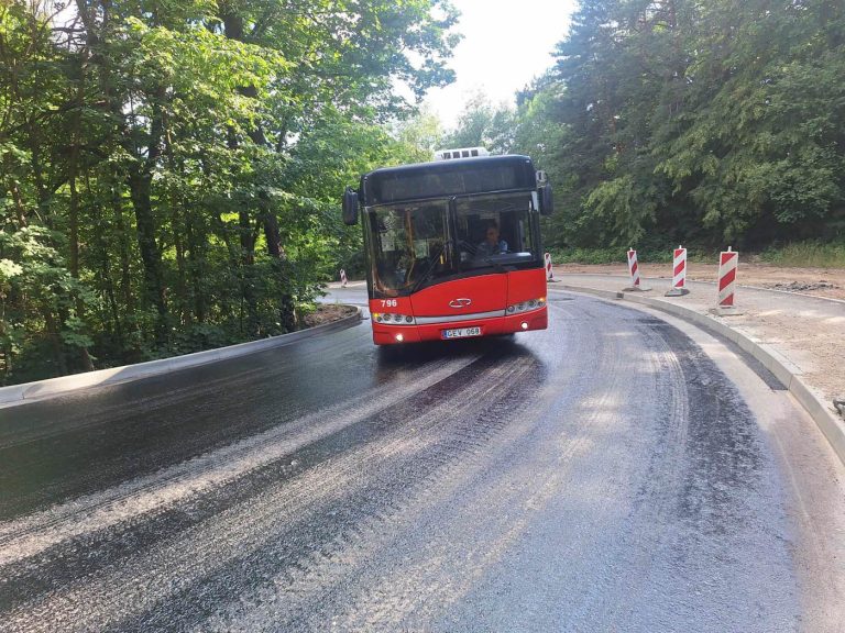 Viešojo transporto vairuotojai šoke / asmen. archyv. nuotr.