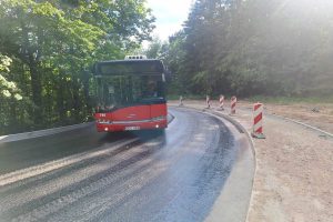 Viešojo transporto vairuotojai šoke / asmen. archyv. nuotr.