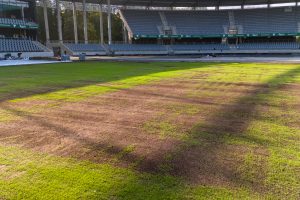 Atidengta gelbėta Kauno stadiono veja / Kas vyksta Kaune nuotr.