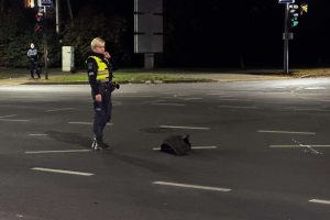 Judrioje Kauno gatvėje gulintis žmogus buvo pervažiuotas automobilio / Skaitytojų nuotr.