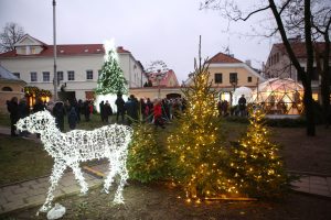 Įžiebta Kalėdinė eglutė Kauno senamiestyje / M. Patašiaus nuotr.