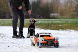 RC automobiliukai ir šunys / Organizatorių nuotr.