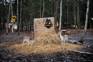 Unikalus Perlinių danielių parkas / Organizatorių nuotr.