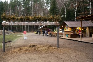 Unikalus Perlinių danielių parkas / Organizatorių nuotr.