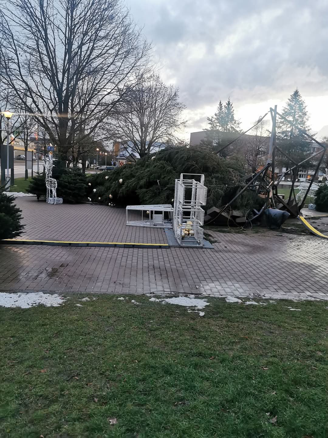 Šilalės eglutė / Skaitytojų nuotr.