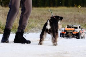 RC automobiliukai ir šunys / Organizatorių nuotr.