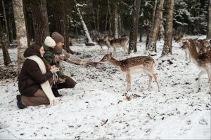 Unikalus Perlinių danielių parkas / Organizatorių nuotr.