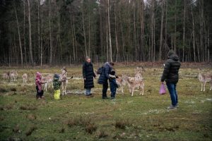 Unikalus Perlinių danielių parkas / Organizatorių nuotr.