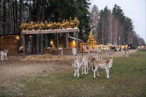 Unikalus Perlinių danielių parkas / Organizatorių nuotr.