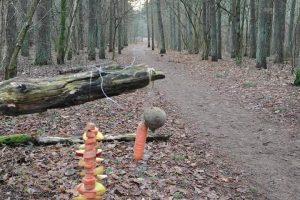 Žvėrelių vaišės Kleboniškio miške / skaitytojo nuotr.